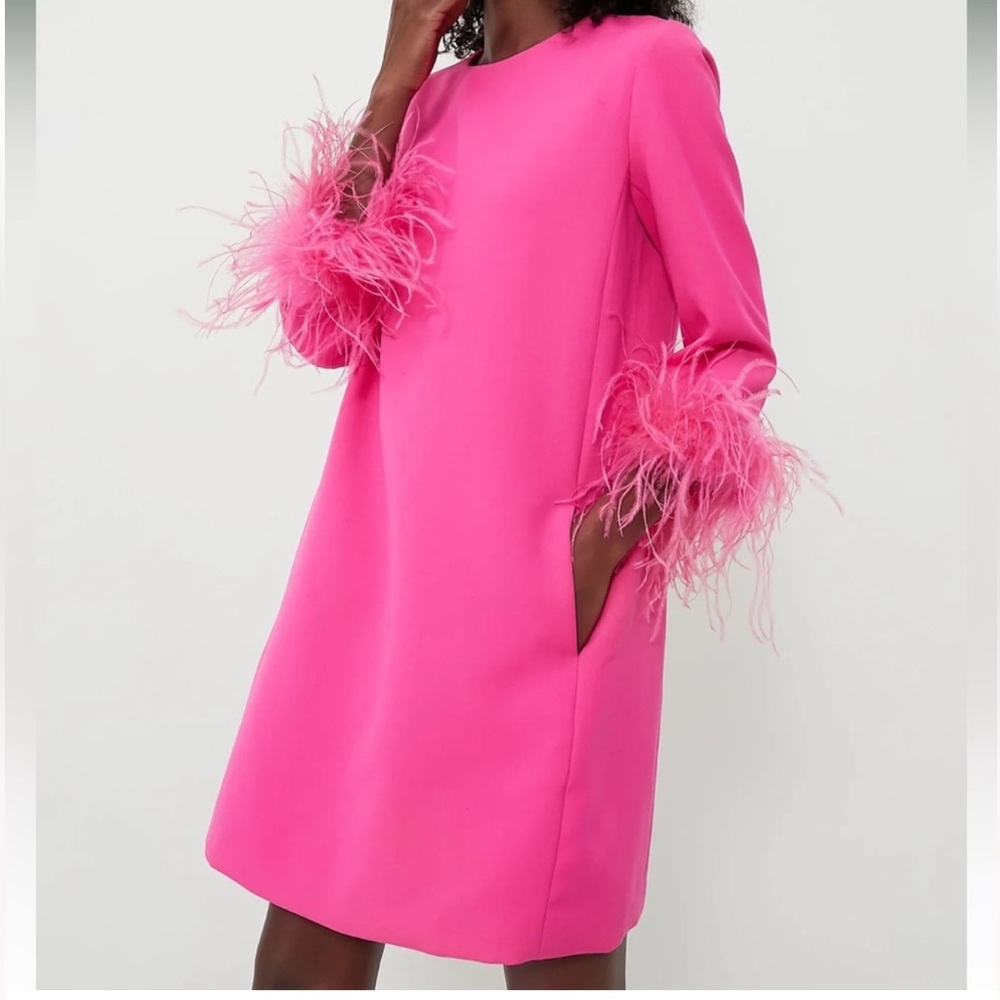 Tuckernuck Mod Mary Dress Hot Pink Feather Size Small - Picture 3 of 7